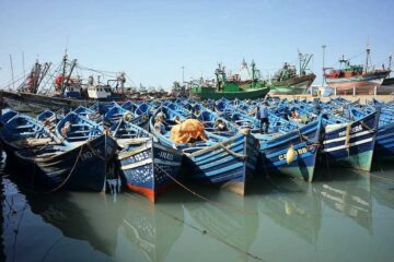 tours from marrakech to essaouiraday trip to essaouiraday trip to essaouira from marrakechessaouira day tripessaouira day trip marrakech.marrakech to essaouira 360x240 - Shortcode tours