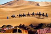 tours from Marrakech