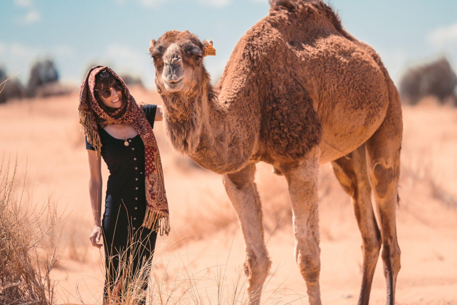 pexels taryn elliott 3889895 - Morocco camel trekking tours | Morocco Desert Camp | Camel Trekking In Merzouga
