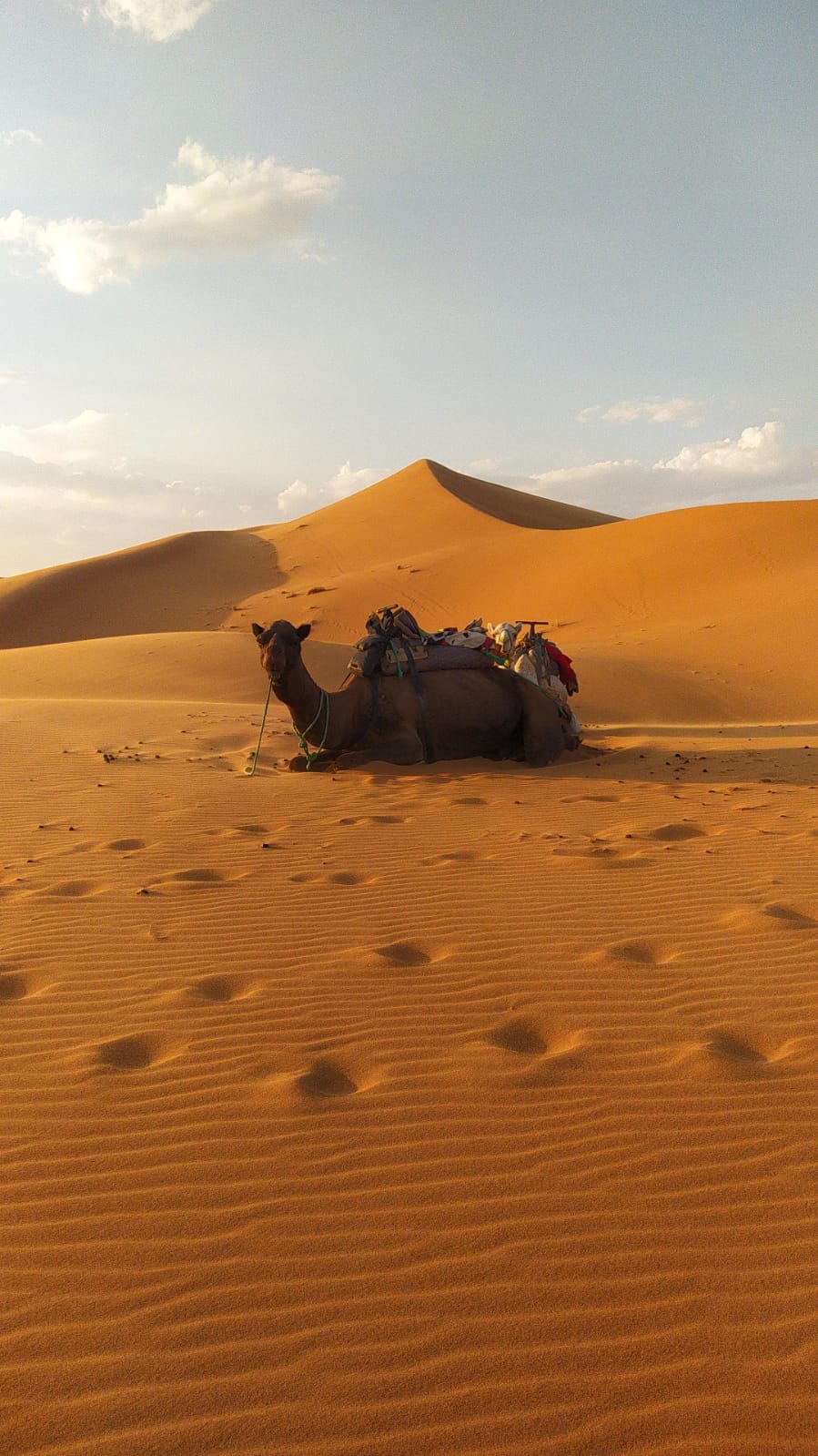 399a53eb b5a4 4c1c adfb 00417ad789b9 - Marrakech To Fes Desert Tour Luxury | Marrakech Luxury Desert Tours 3 Days