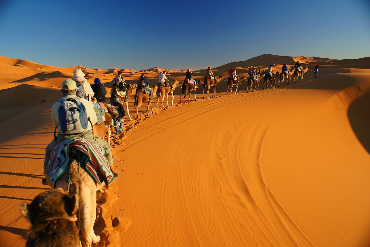 desert marocain - Shared Marrakech To Fes Desert Tour 3 Days