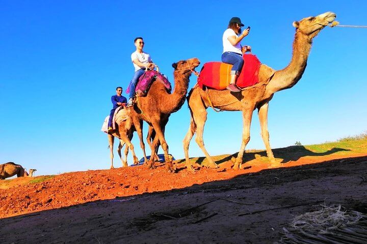 imlil day trips83 1 - Imlil Day Trip From Marrakech | Atlas Mountains Tours