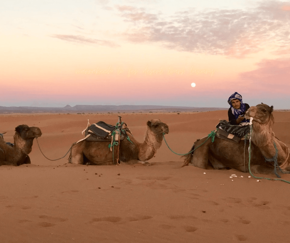 marrakech to fes desert tours luxury