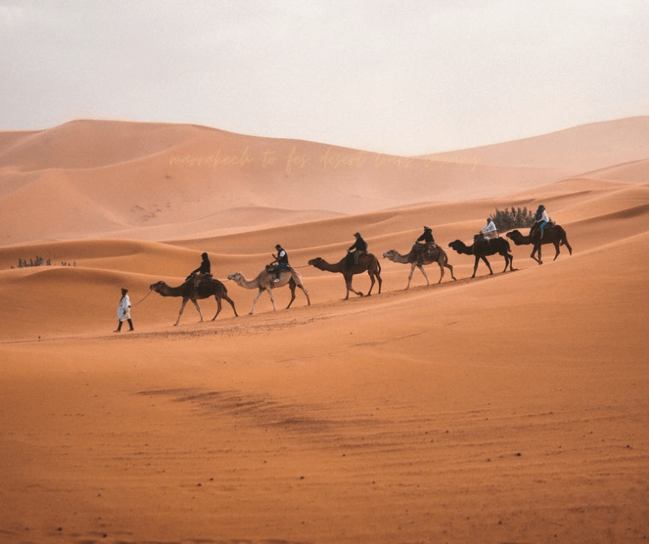 marrakech to fes desert tours luxury