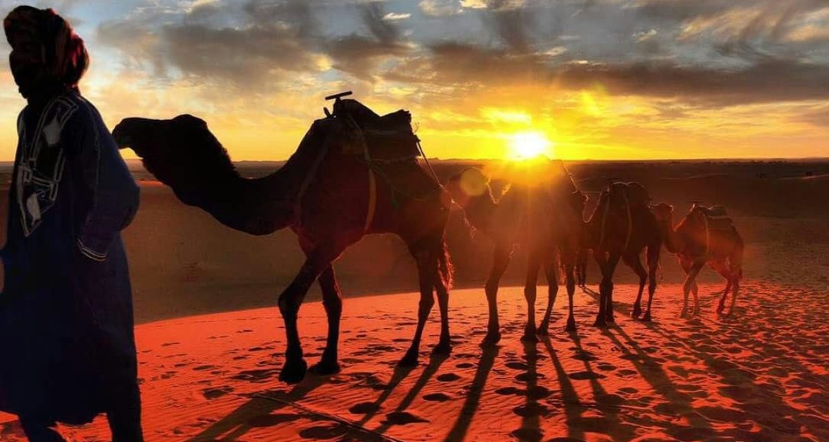 222ce3a204904226934bca9aac4cf08b ptcuw5gfdl8wt01klo3ziuekylkpw070kft3ro9kow - Camel Safari Morocco | Morocco Camel Trekking 2D-3Days