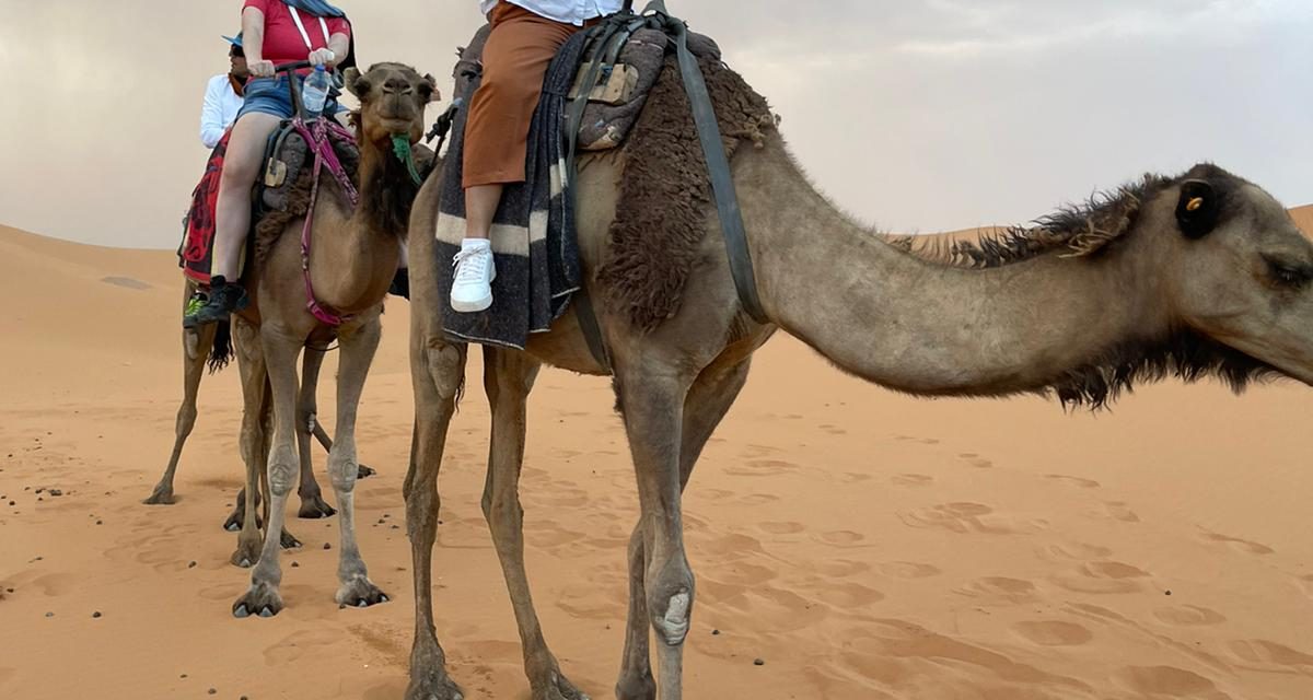 3ad6b053b8474d56a13ae0c703e9a17a ptcuwcz4w9j7dvqndrd02si9pojnll0v9h0zlvyfb4 - Camel Safari Morocco | Morocco Camel Trekking 2D-3Days