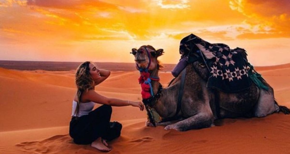 46ee1afc5fb4496599925fdf69987586 ptcuxggcvb18xi5az8fbzijmnv52kvdlewfdribw1s - Camel Safari Morocco | Morocco Camel Trekking 2D-3Days