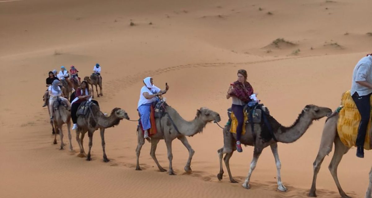 d87e4f6d92b8449da92f18bdfec4c0f0 ptd5ecsn8sza8ooj5nez9wmdkvgfzqmywdhc8phz40 - Morocco Desert Tours From Tangier - 4 Days