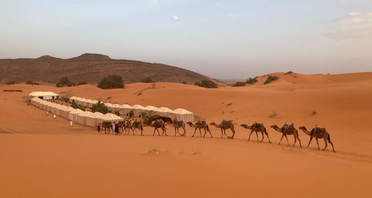 e3c7b242e2134aa5bc43840457d91ac9 ptcuwkhuexthyrfq5um0mqlygrilb5upyi8vg3n9xc - Camel Safari Morocco | Morocco Camel Trekking 2D-3Days