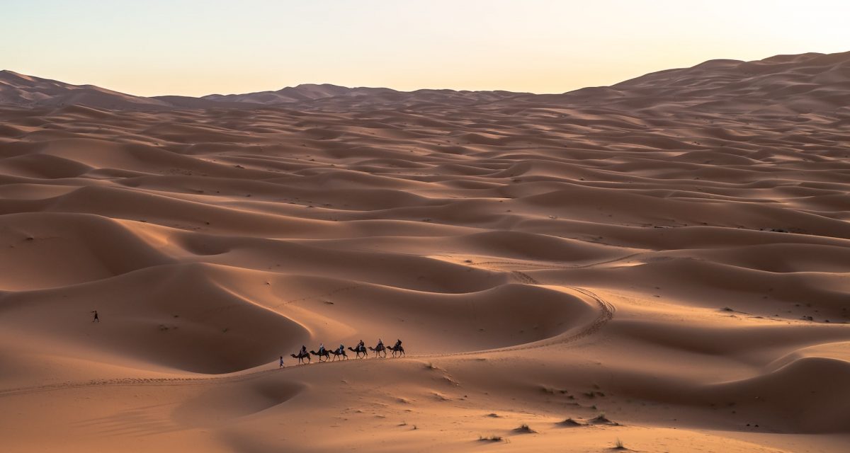 jeff jewiss XqGQCsiAjaI unsplash 1 pvcj5bj3frilsdcd3iv28l3zliopdrr7n4yft8ki68 - Camel Safari Morocco | Morocco Camel Trekking 2D-3Days